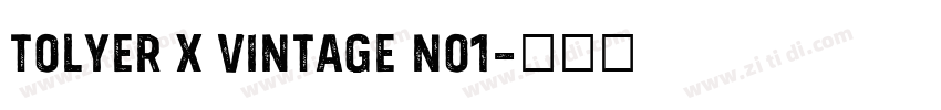 Tolyer X Vintage No1字体转换